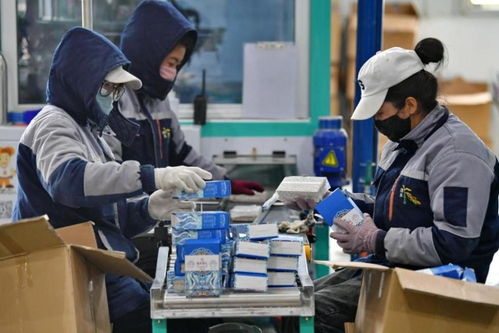 技術賦能，文化鑄魂 西藏傳統產業的創新轉型之路