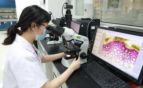 用藥需謹(jǐn)慎 警惕藥物副作用導(dǎo)致的體重增加