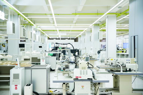 高質(zhì)量發(fā)展看中國(guó) 民營(yíng)企業(yè)煥新賦能，金融與技術(shù)咨詢共筑溫暖力量